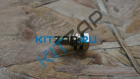 ����