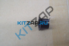 ������ ���� ������ ���������