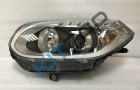 ���� �������� �����