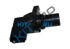 ������ �������� ����