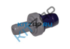 ������ PCV